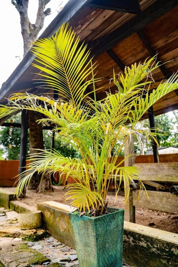 Nature'S Cradle Obosomase Zewnętrze zdjęcie